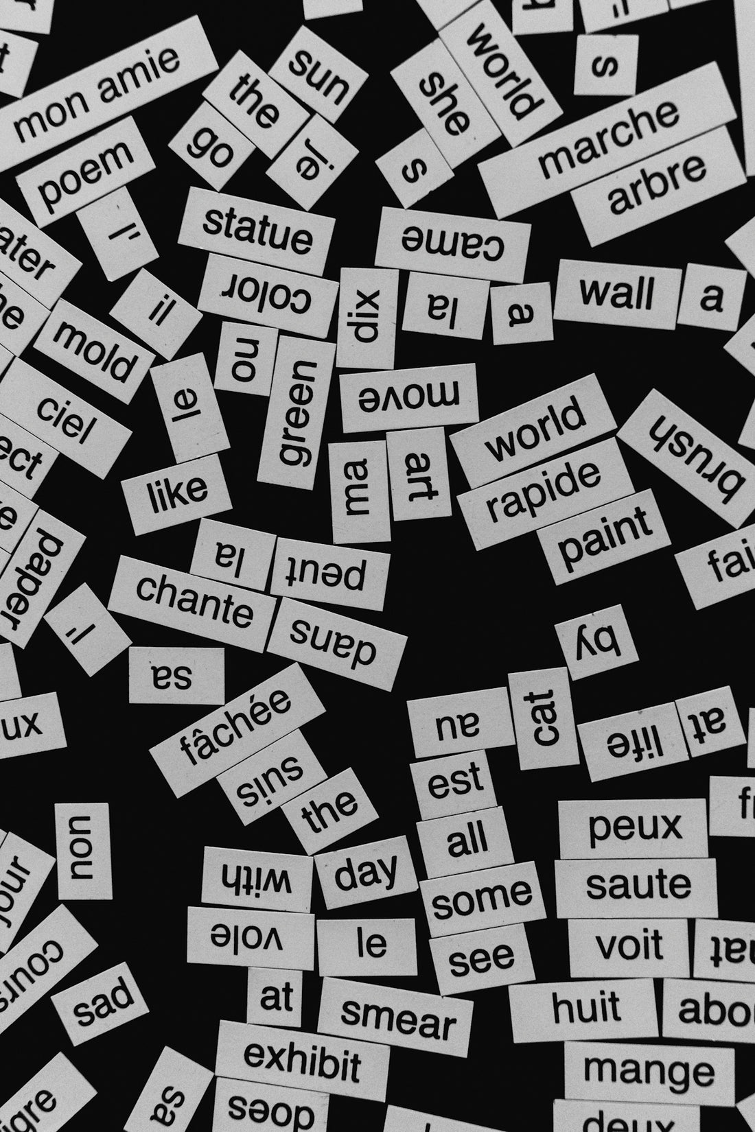 Scattered paper rectangles with printed English and French words on a black background