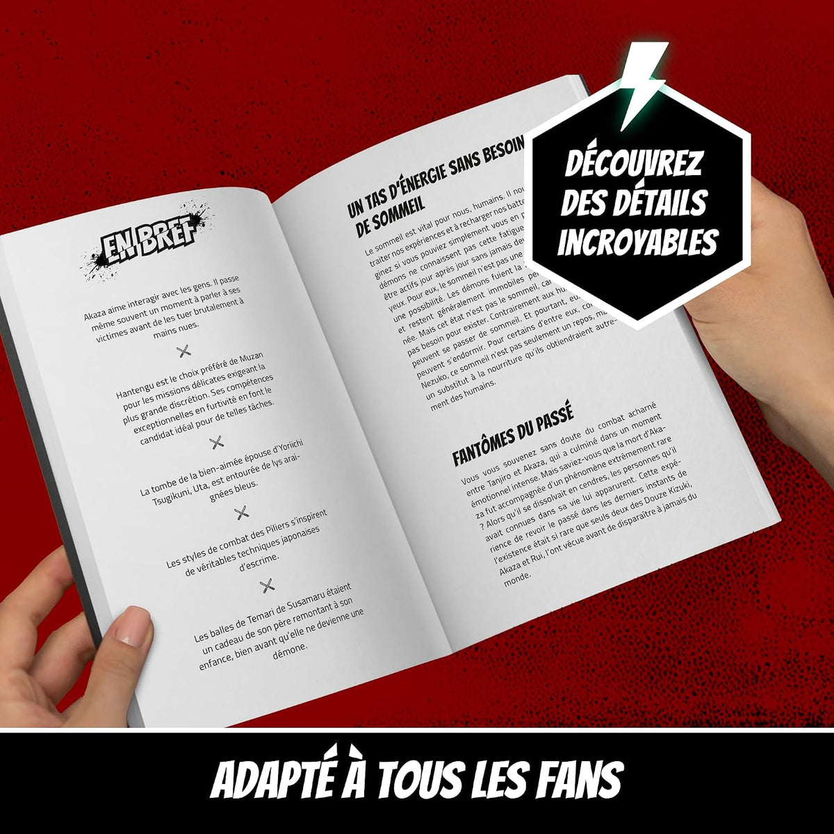Faits incroyables pour les fans de Demon Slayer – La collection non officielle