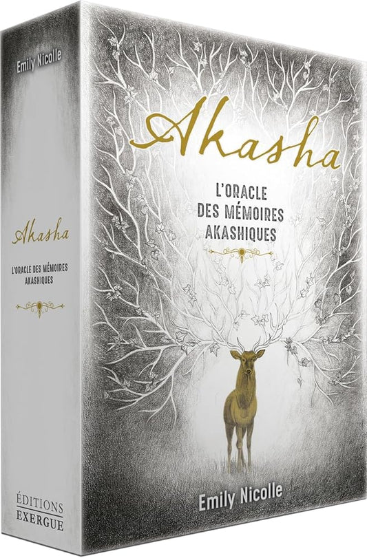 AKASHA - L'oracle des mémoires akashiques cover image