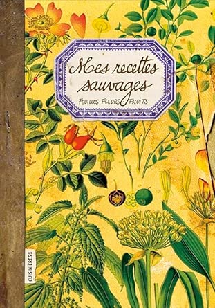 Mes Recettes Sauvages : Feuilles, fleurs, fruits cover image