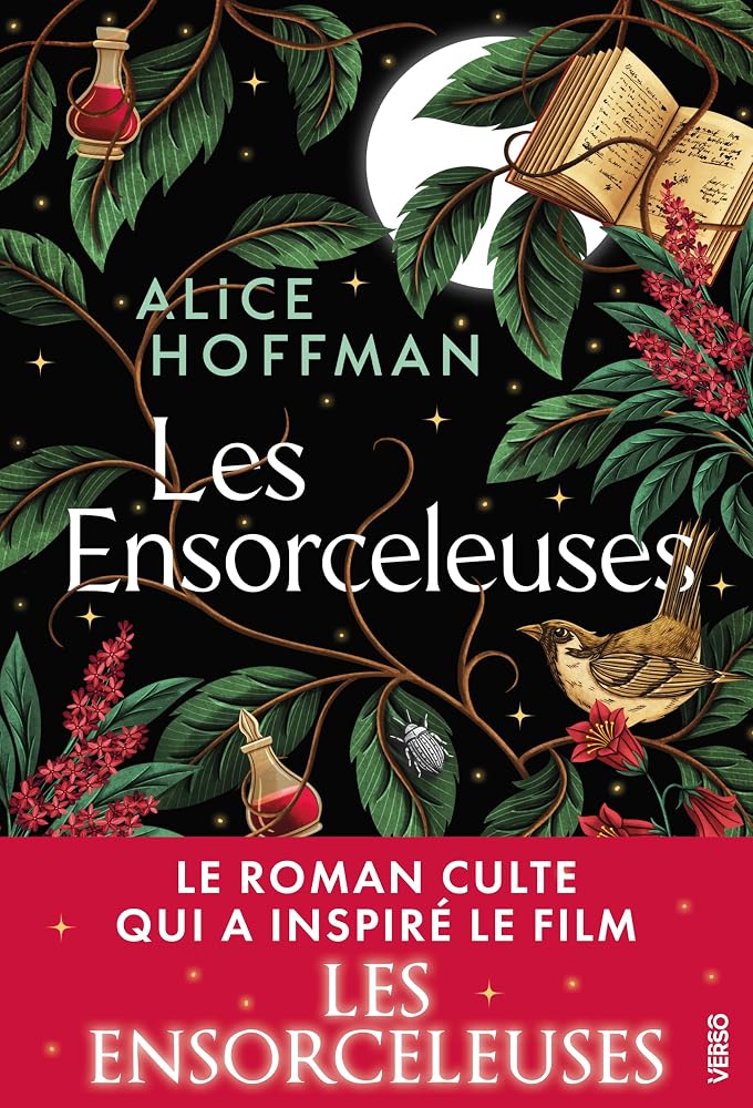 Les Ensorceleuses: La saga culte Practical Magic cover image