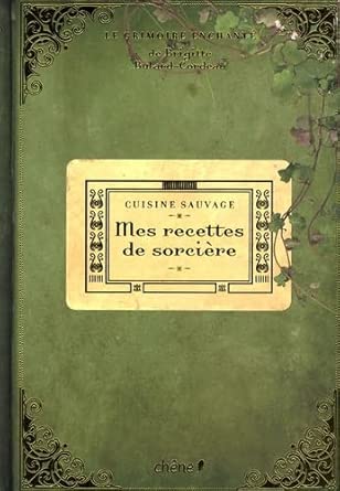 Mes recettes de sorcière : cuisine sauvage: Le grimoire enchanté cover image