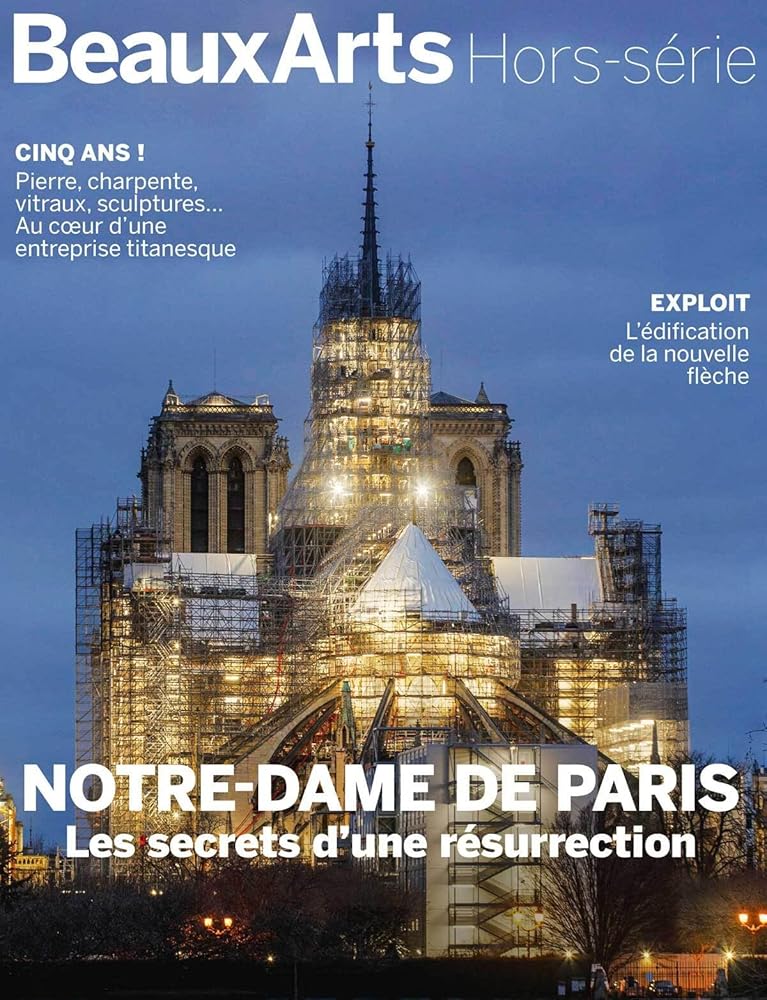 Notre-Dame de Paris, les secrets d’une résurrection cover image
