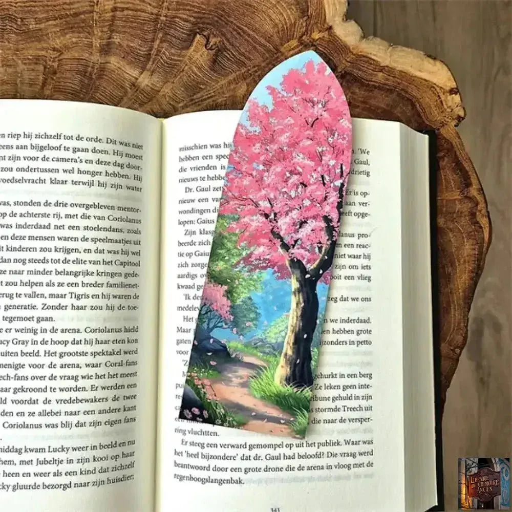 Boîte de marque-pages pratiques, fantaisie, dragon, lune de sang, paysages - © 2026 Le Grimoire Ancien