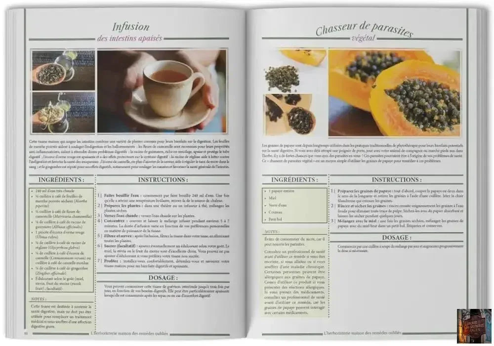 L'herboristerie maison des remèdes oubliés : 250 recettes efficaces à portée de main - © 2026 Le Grimoire Ancien