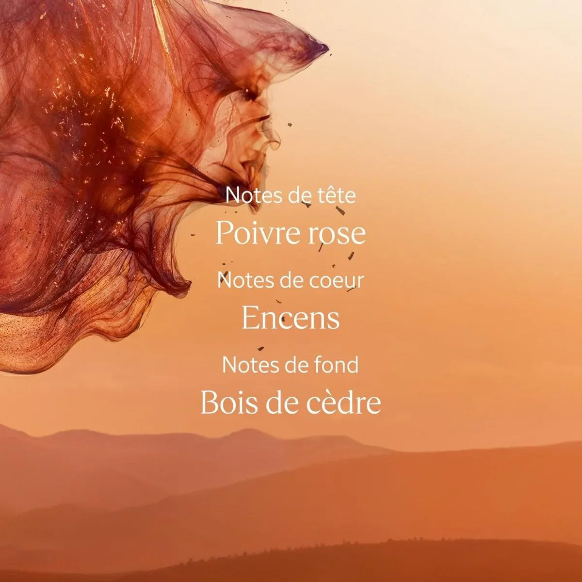 L'OCCITANE - Eau de toilette cèdre Encens (anciennement Eau des Baux) - 50 ml - Fabriqué en France - © 2026 Le Grimoire Ancien