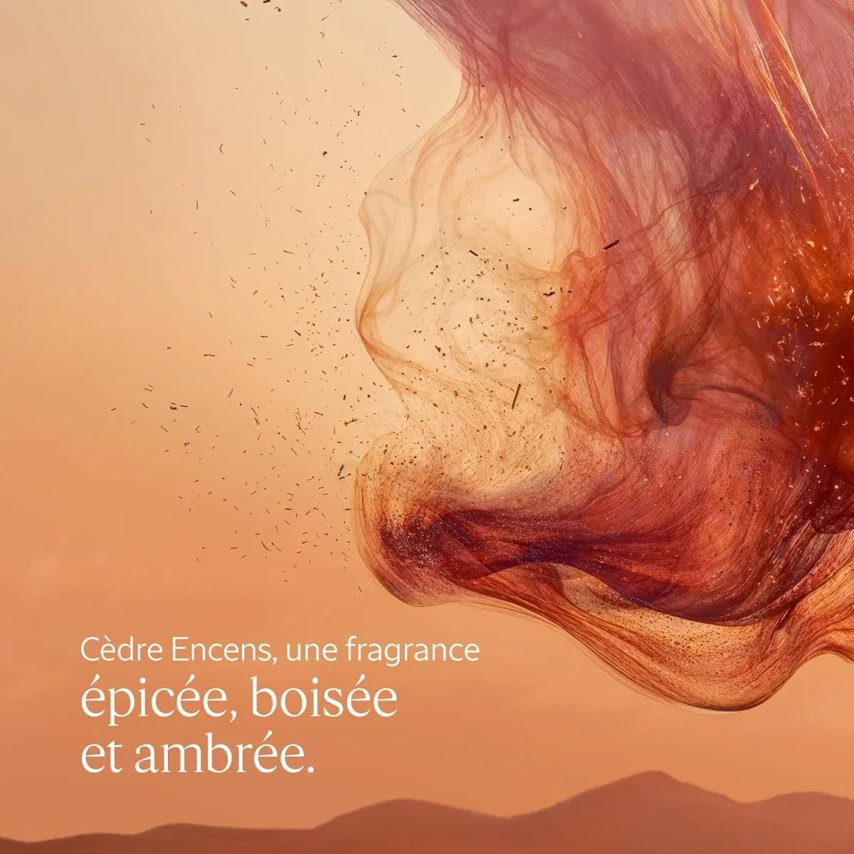 L'OCCITANE - Eau de toilette cèdre Encens (anciennement Eau des Baux) - 50 ml - Fabriqué en France - © 2026 Le Grimoire Ancien