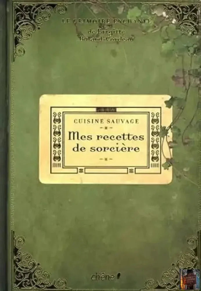 Mes recettes de sorcière : cuisine sauvage - Le grimoire enchanté - © 2026 Le Grimoire Ancien