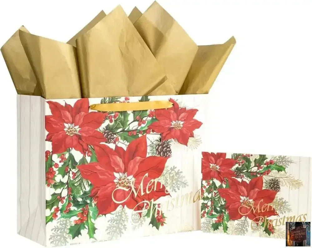 Paquet cadeau livres (1 Lot de 5) - © 2026 Le Grimoire Ancien