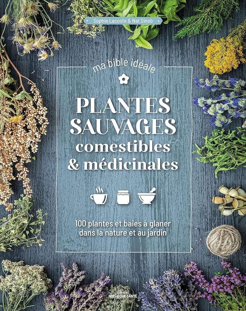Plantes sauvages comestibles & médicinales, ma bible idéale - 100 plantes et baies à glaner dans la nature et au jardin - © 2026 Le Grimoire Ancien